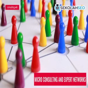 Layanan Micro-Consulting 2 Jam